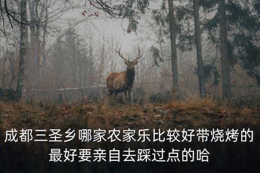 成都三圣鄉(xiāng)哪家農(nóng)家樂比較好帶燒烤的最好要親自去踩過點(diǎn)的哈