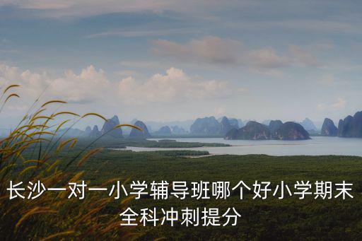 長沙一對一小學(xué)輔導(dǎo)班哪個好小學(xué)期末全科沖刺提分