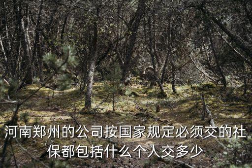 河南鄭州的公司按國家規定必須交的社保都包括什么個人交多少