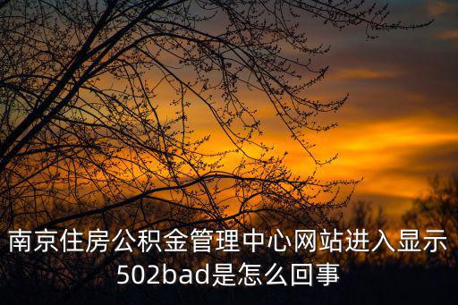 南京住房公積金管理中心網站進入顯示502bad是怎么回事