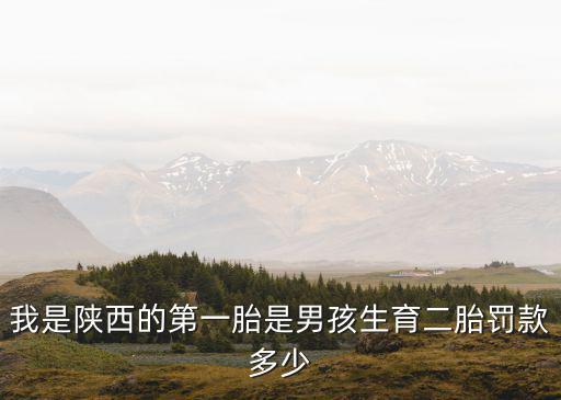 我是陜西的第一胎是男孩生育二胎罰款多少