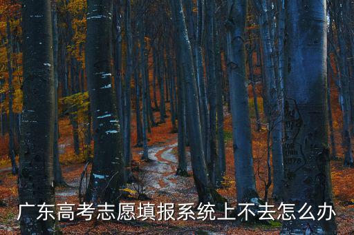 廣東高考志愿填報(bào)系統(tǒng)上不去怎么辦