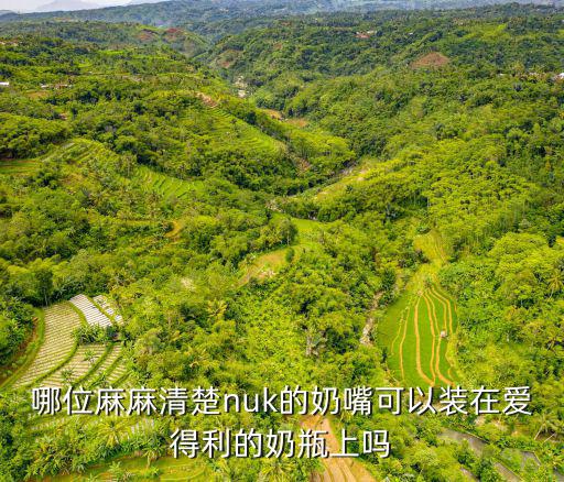 哪位麻麻清楚nuk的奶嘴可以裝在愛得利的奶瓶上嗎