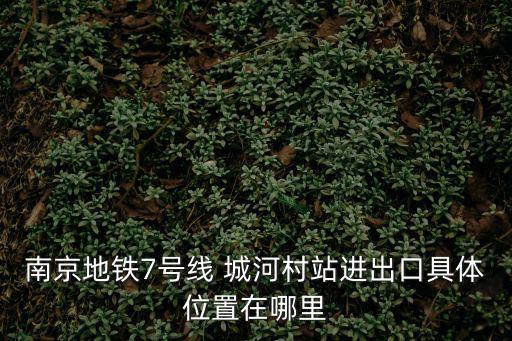 南京地鐵7號線 城河村站進出口具體位置在哪里