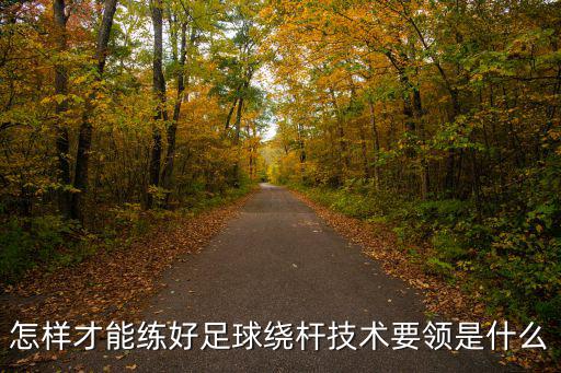 足球繞桿，足球繞桿2022多少秒滿分