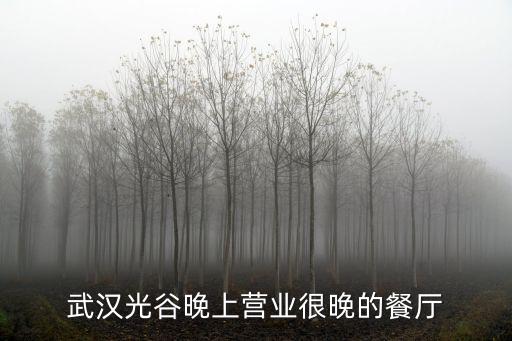 光谷店，CGV星聚匯武漢光谷店具體怎么走求詳細(xì)描述從光谷廣場站下車