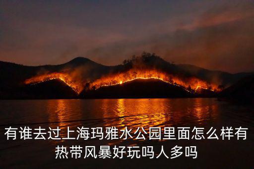 有誰去過上海瑪雅水公園里面怎么樣有熱帶風暴好玩嗎人多嗎