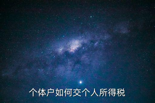 個體戶如何交個人所得稅