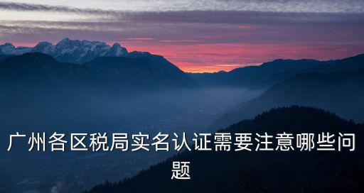 廣州電子稅務，廣州各區稅局實名認證需要注意哪些問題
