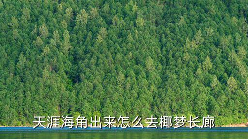 天涯海角出來怎么去椰夢長廊