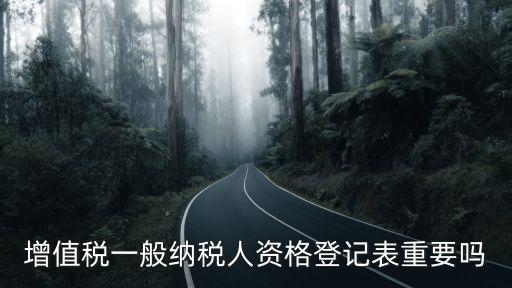 一般納稅人登記表，一般納稅人資格登記表在哪兒打印
