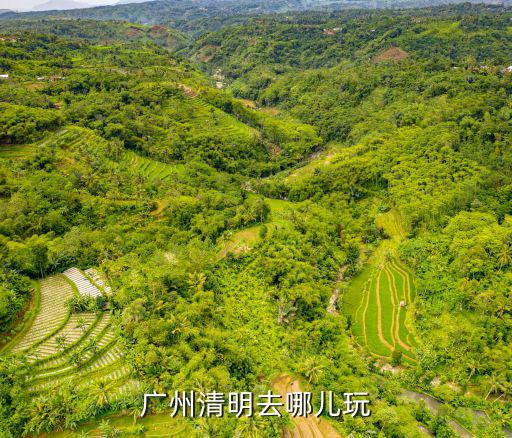 廣州清明去哪兒玩