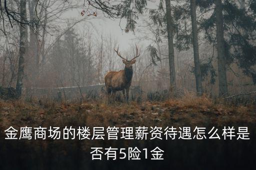 金鷹商場的樓層管理薪資待遇怎么樣是否有5險1金