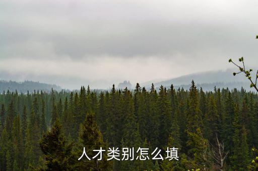 人才類別怎么填