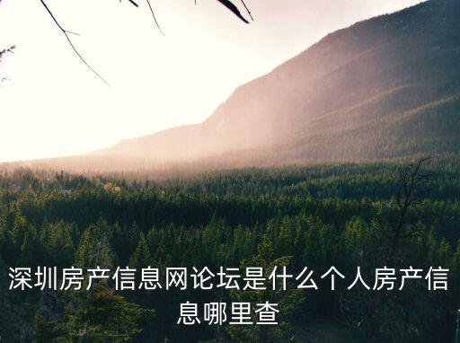 深圳房產信息網論壇是什么個人房產信息哪里查