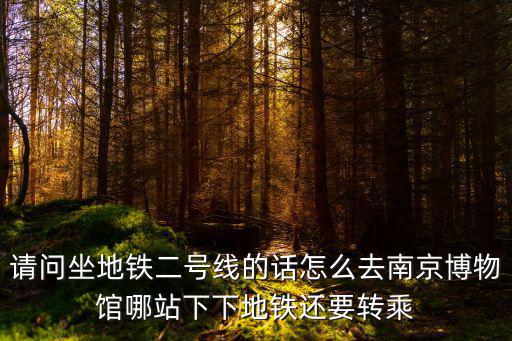 請(qǐng)問(wèn)坐地鐵二號(hào)線的話怎么去南京博物館哪站下下地鐵還要轉(zhuǎn)乘