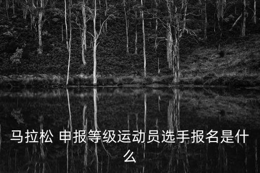 馬拉松 申報等級運動員選手報名是什么