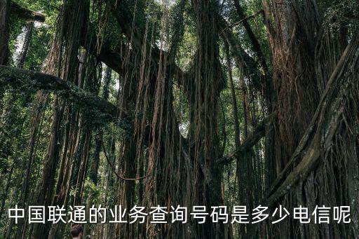 中國聯通的業務查詢號碼是多少電信呢