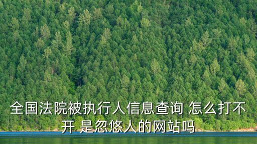 全國法院被執行人信息查詢 怎么打不開 是忽悠人的網站嗎