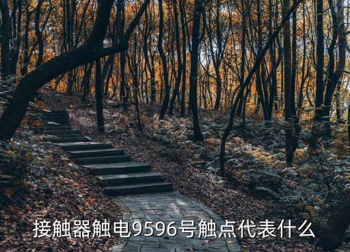 接觸器觸電9596號觸點代表什么