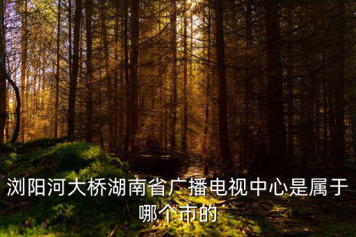 瀏陽河大橋湖南省廣播電視中心是屬于哪個市的