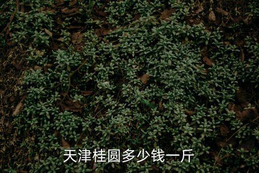 天津桂圓多少錢一斤