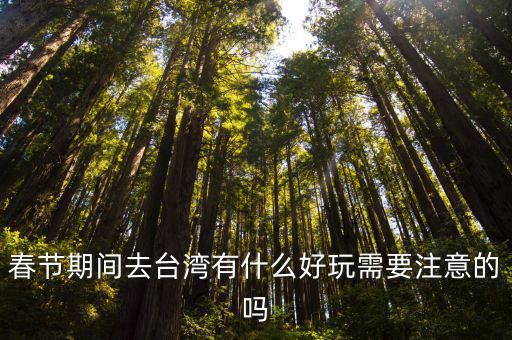 春節臺灣旅游，春節去臺灣旅游合適嗎