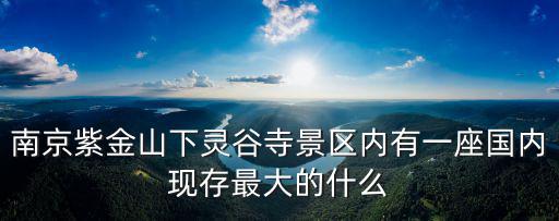 南京紫金山下靈谷寺景區(qū)內(nèi)有一座國(guó)內(nèi)現(xiàn)存最大的什么