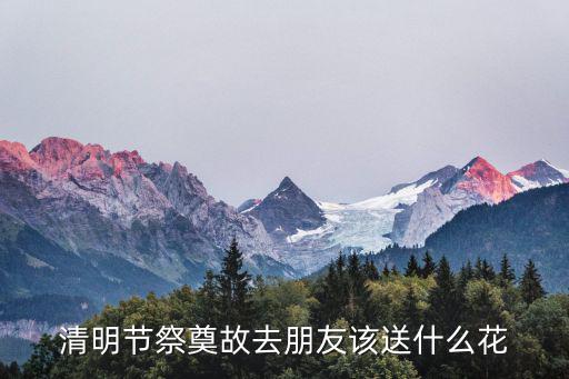 清明節祭奠故去朋友該送什么花