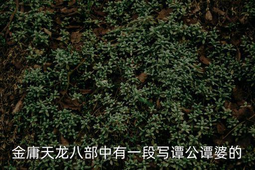 金庸天龍八部中有一段寫譚公譚婆的