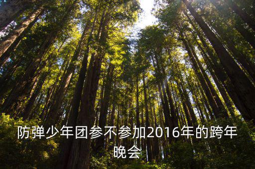 防彈少年團(tuán)參不參加2016年的跨年晚會(huì)
