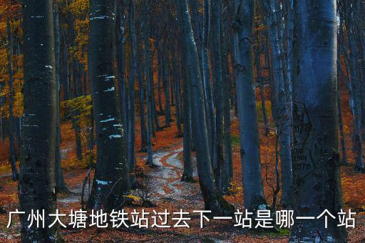 廣州大塘地鐵站過去下一站是哪一個站