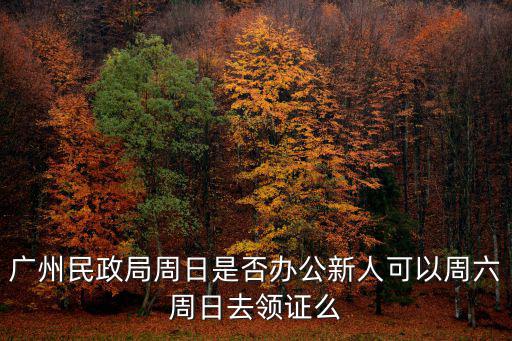 廣州民政局，廣州民政局周日是否辦公新人可以周六周日去領證么