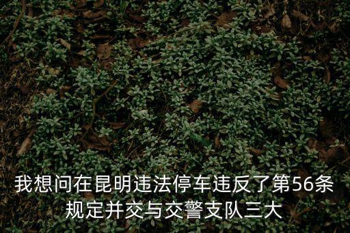 交警三大隊，我想問在昆明違法停車違反了第56條規定并交與交警支隊三大