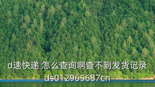 d速快遞查詢，d速快遞 怎么查詢啊查不到發貨記錄ds012965687cn