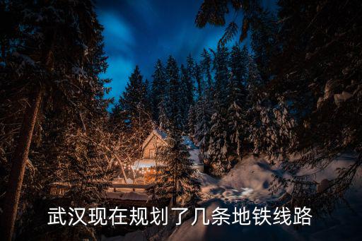 武漢現在規劃了幾條地鐵線路