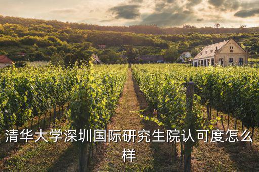 清華大學(xué)深圳國際研究生院認(rèn)可度怎么樣