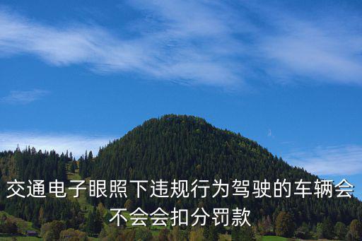 交通電子眼照下違規行為駕駛的車輛會不會會扣分罰款