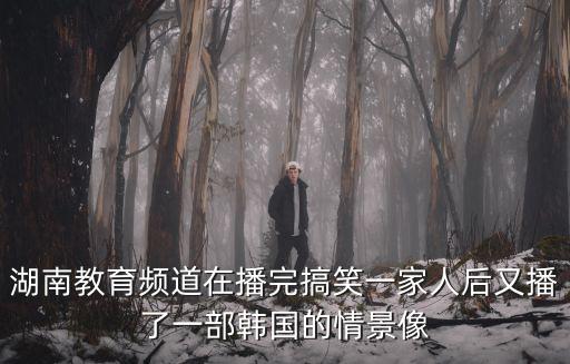 湖南教育頻道在播完搞笑一家人后又播了一部韓國的情景像