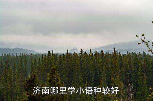 濟南小語種，濟南哪里學(xué)小語種較好