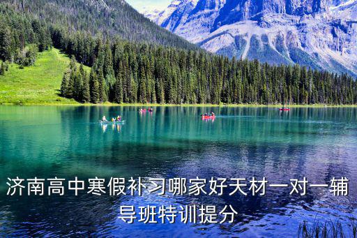 濟(jì)南高中寒假補習(xí)哪家好天材一對一輔導(dǎo)班特訓(xùn)提分