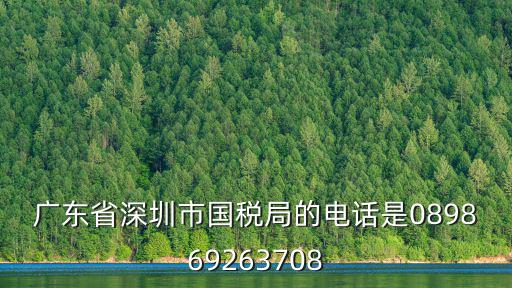 廣東省深圳市國(guó)稅局的電話是089869263708