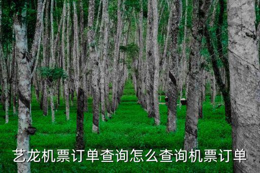 藝龍機票訂單查詢怎么查詢機票訂單