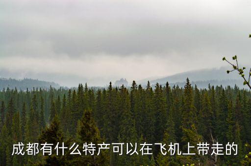 成都有什么特產可以在飛機上帶走的
