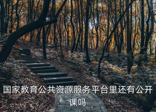國家教育公共資源服務平臺里還有公開課嗎