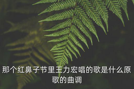 那個紅鼻子節里王力宏唱的歌是什么原歌的曲調