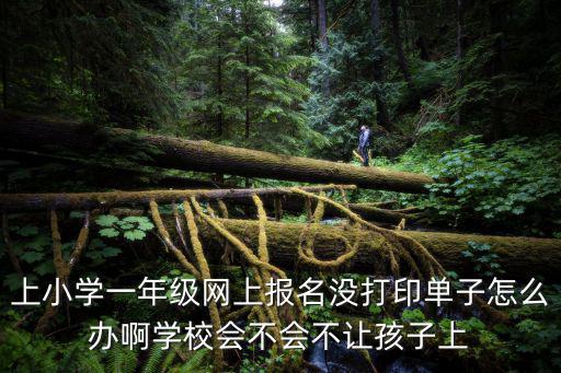 上小學一年級網(wǎng)上報名沒打印單子怎么辦啊學校會不會不讓孩子上