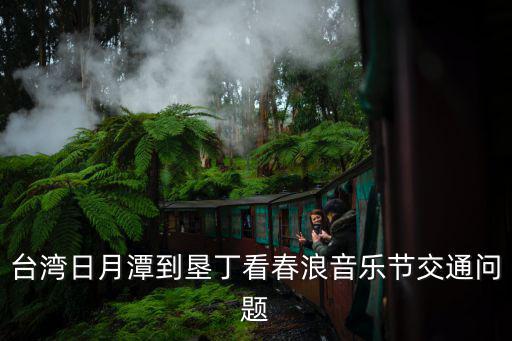 春浪音樂節，春浪音樂節 預售單日票是什么意思
