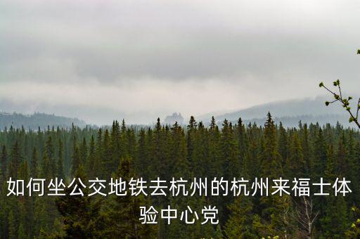 如何坐公交地鐵去杭州的杭州來福士體驗中心黨