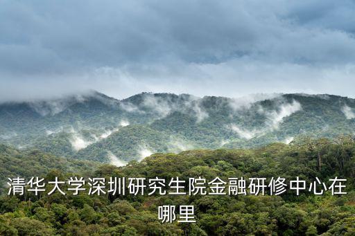 清華大學(xué)深圳研究生院金融研修中心在哪里